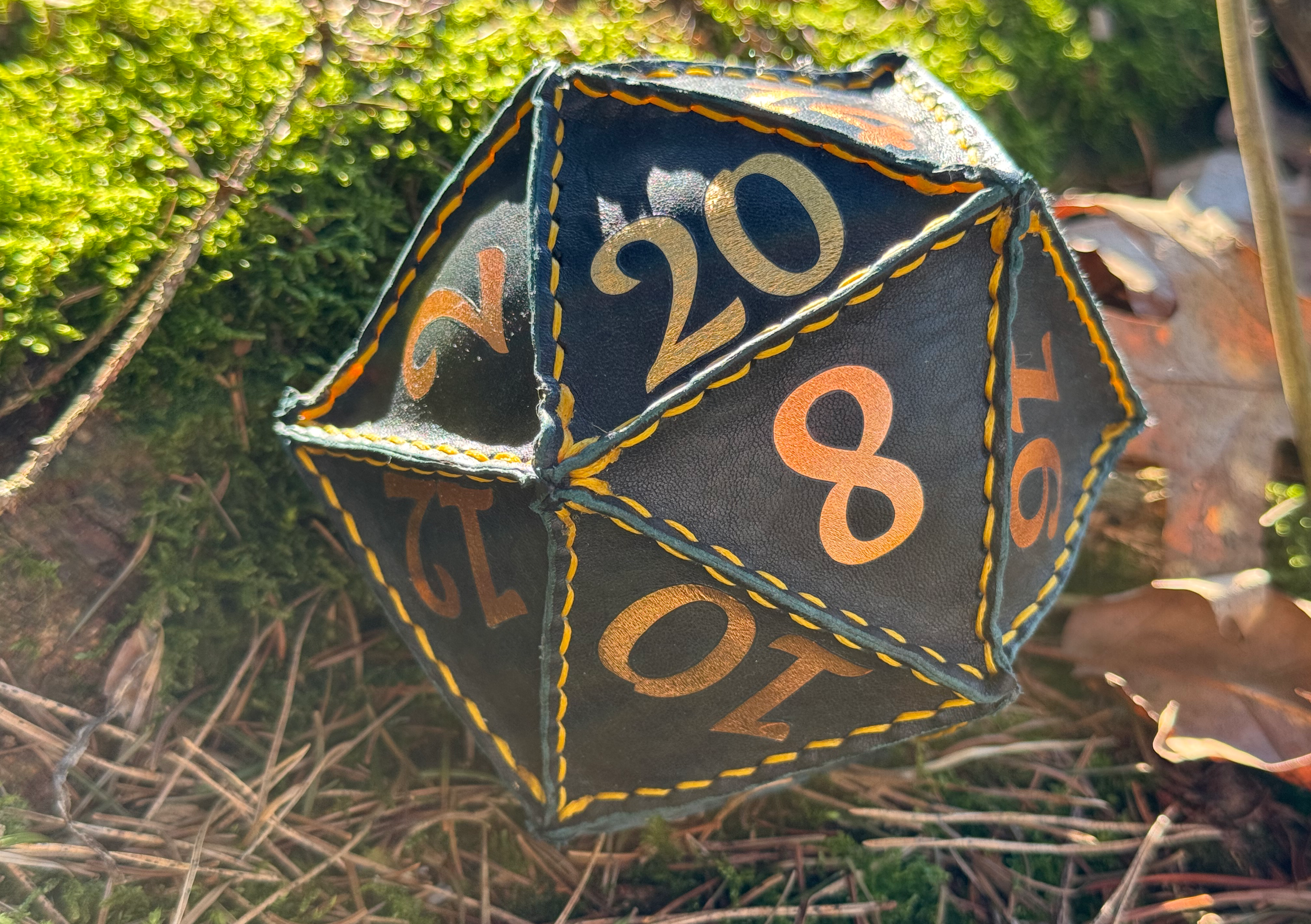 Leather D20 Dice