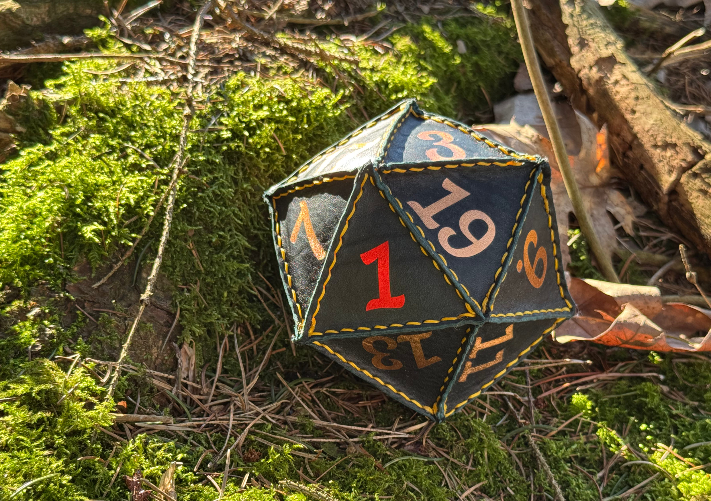 Leather D20 Dice