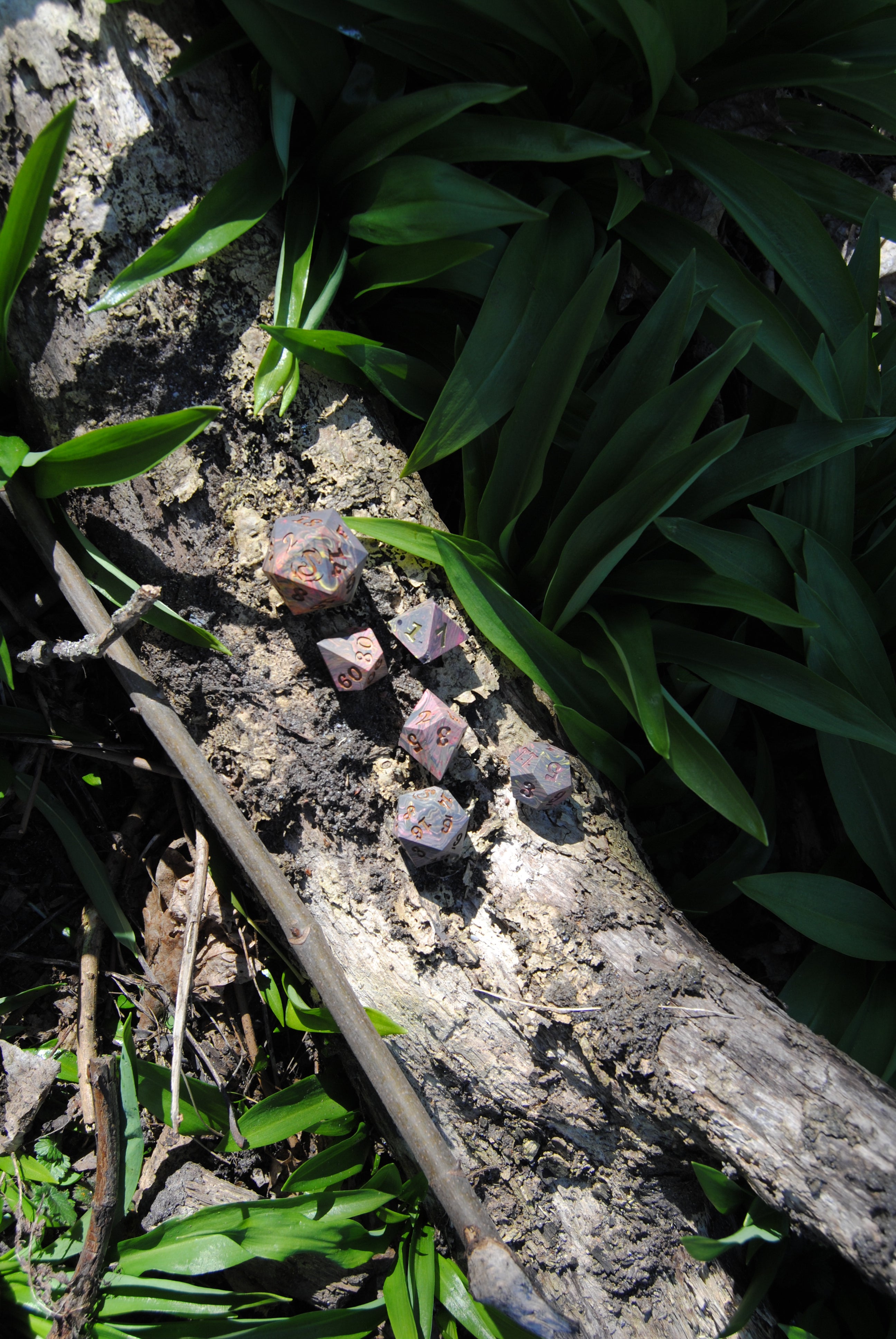 Dice Set | Roll in style