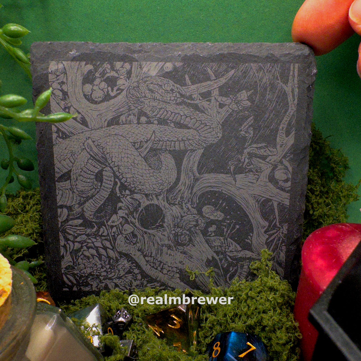 Stone Coaster | A Snake's Domain