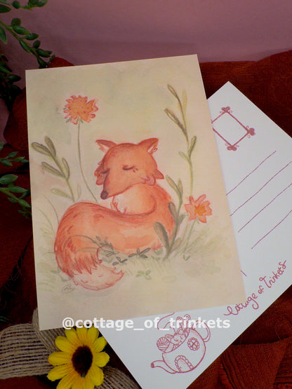 Postcard | Fox